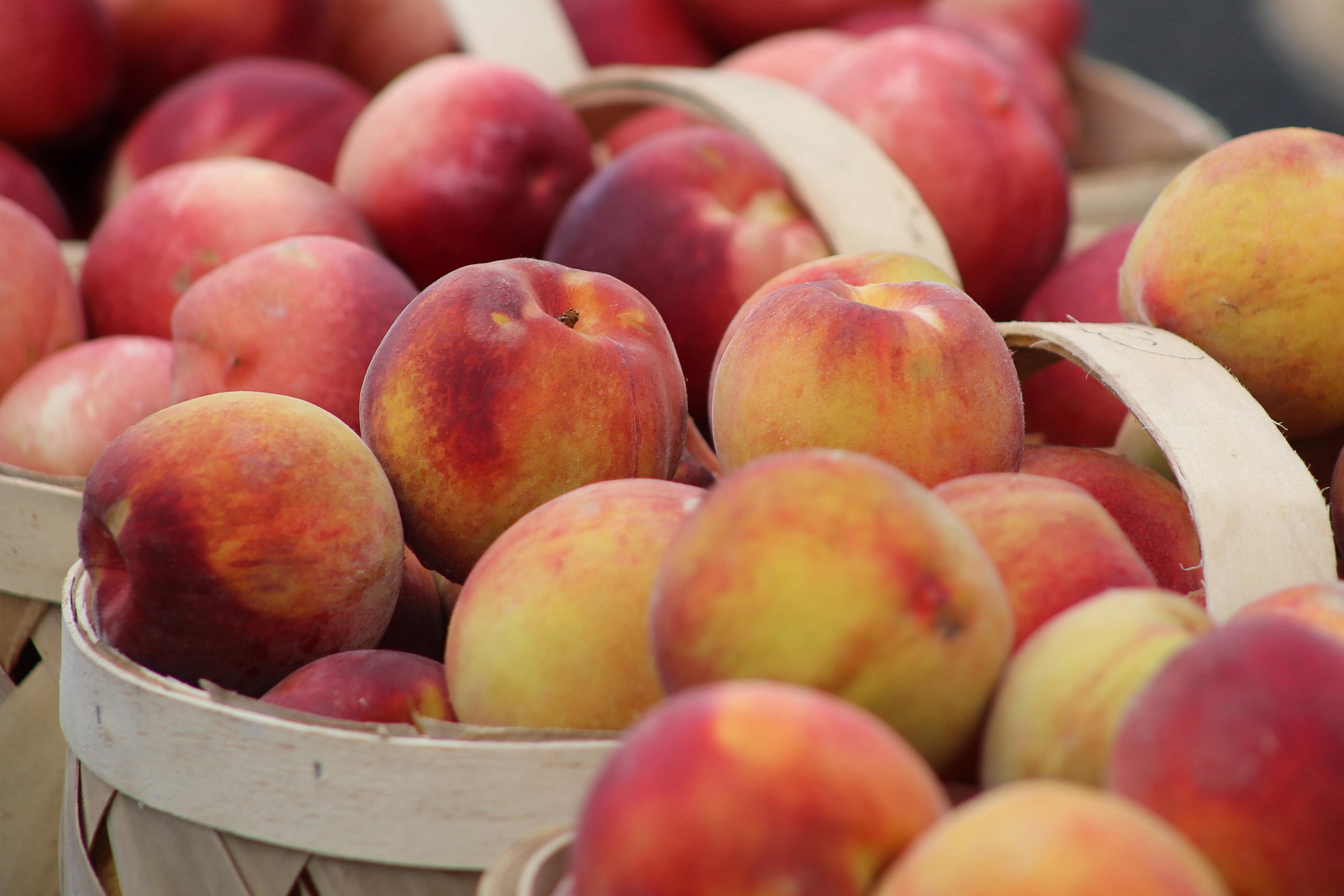 BASKET OF PEACHES-2