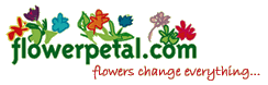 Flowerpetal.com