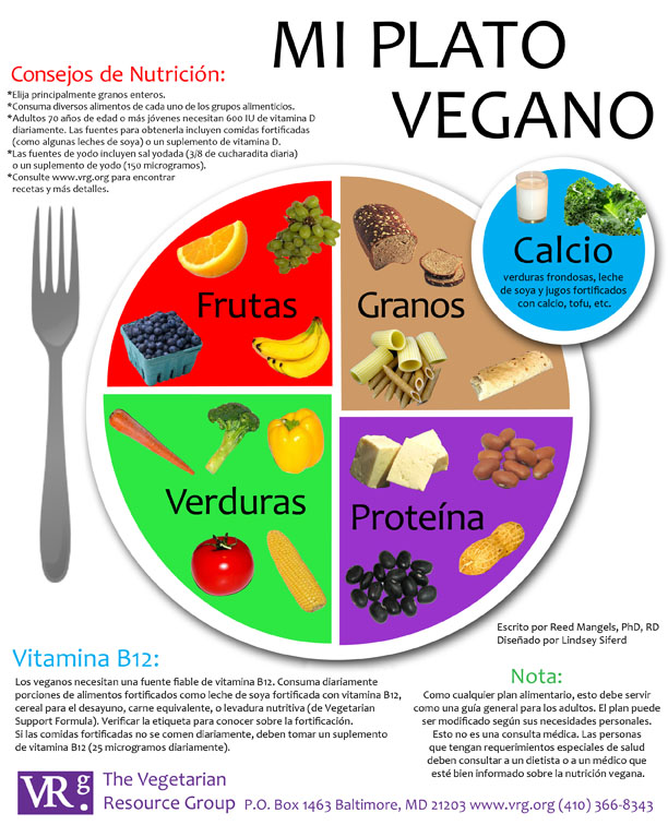 Dieta Vegetariana Pdf