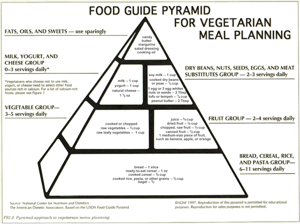 food pyramid pictures of food. ADA FOOD GUIDE PYRAMID