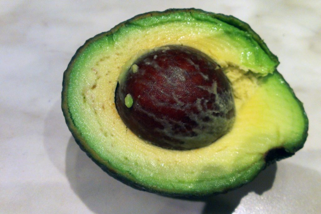 Avocado